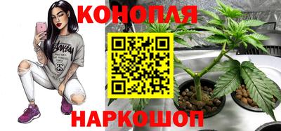 каннабис Лесосибирск