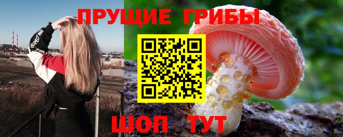 Псилоцибиновые грибы GOLDEN TEACHER  Вход с VPN  Фролово 