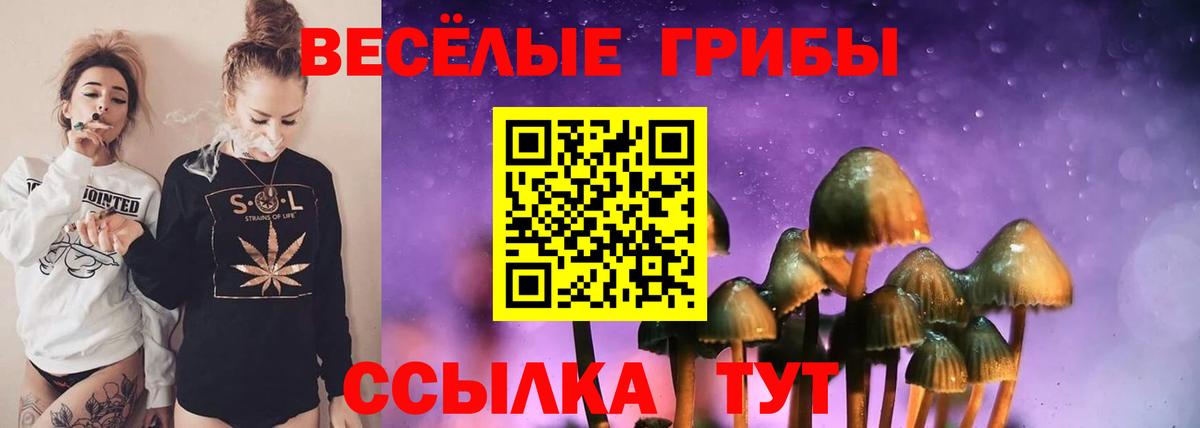 Галлюциногенные грибы GOLDEN TEACHER Фролово