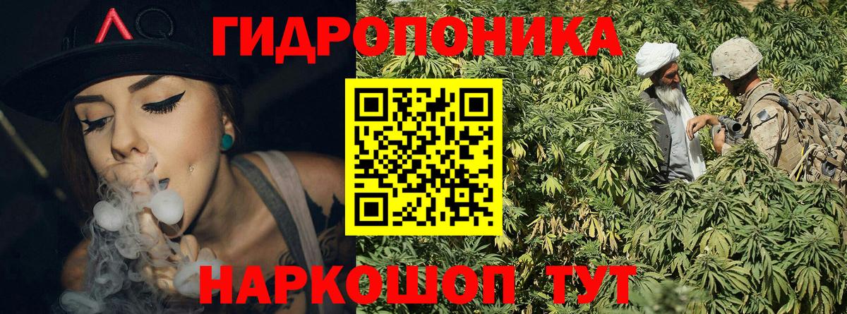 Фролово  Каннабис гибрид  Шишки марихуана OG Kush  Марихуана OG Kush  Вход с VPN 